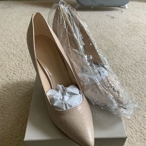 Woman heels New never wore